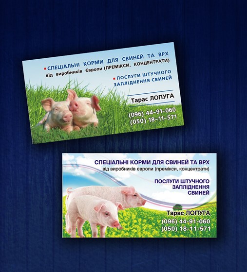 меню, визитки: визитки